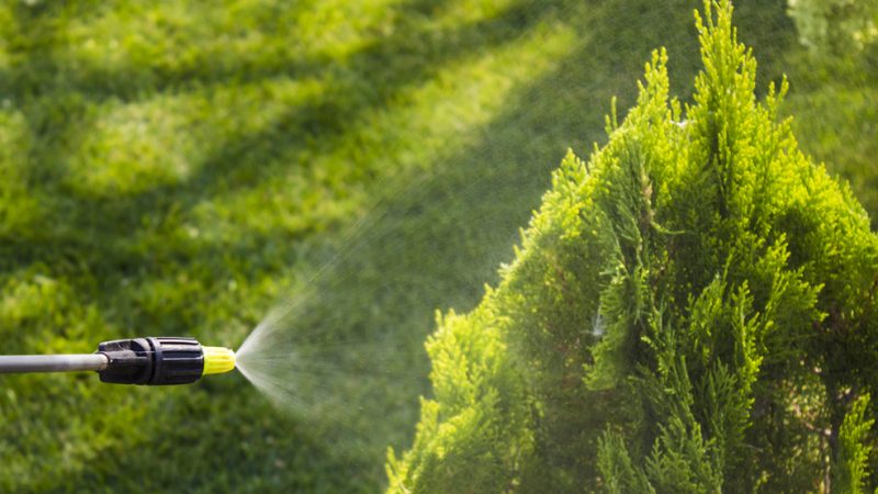 irrigation irrigation